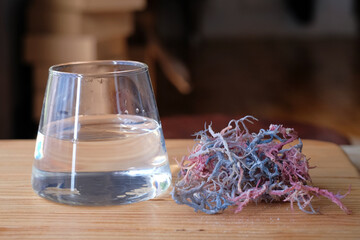 Obraz na płótnie Canvas Preparing seaweed salad in cups. dried seaweed soaked in water in a glass.