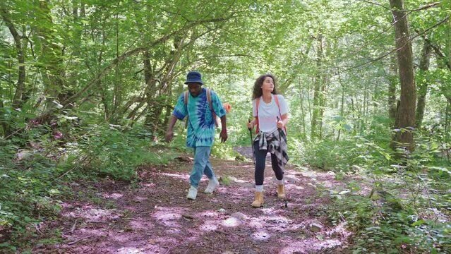 couple of friends walking in nature, african man and hispanic woman hiking in forest in summer