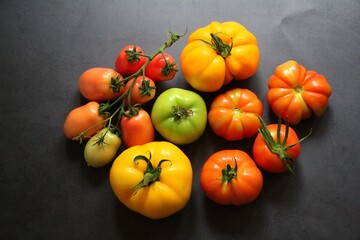 bunch with tomatoes, twig with tomatoes, various kinds of tomatoes on a dark background, scattered...