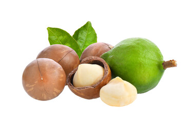 macadamia nuts with leaf isolated on transparent png