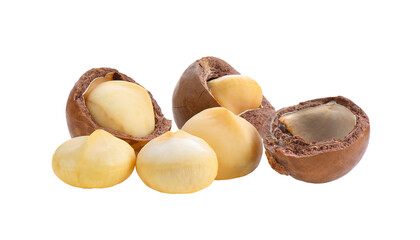 Macadamia nut on transparent png