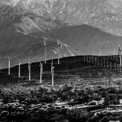 Fototapeta premium Grayscale shot of a wind farm alongside the road in the hight desert of Southern California, USA