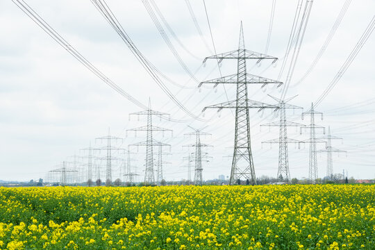 A lot of high-voltage power line, transmission tower overhead line masts, high voltage pylons as power pylons on the fields.