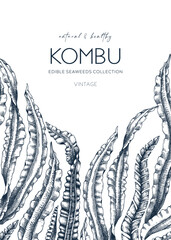 Hand drawn Kombu card design. Laminaria botanical frame. Edible seaweed drawing isolated on white background. Healthy food ingredients illustration. Asian cuisines menu template © sketched-graphics