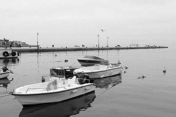 Trieste