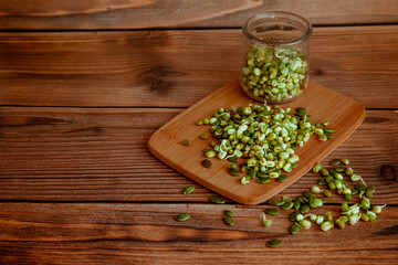Sprouts of healthy microgreens in jar on wooden background