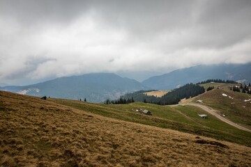 High angle view of green landscape.