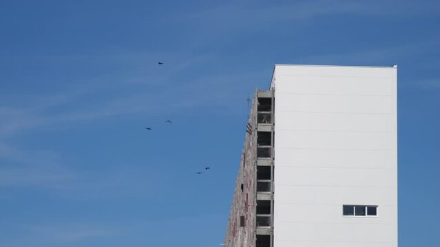Ravens flying in slow motion near lonely apartment building
