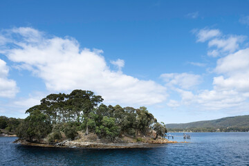 Naklejka premium Port Arthur's small graveyard island 'Isle of Death' in Tasmania is the final resting place for over 1,000 convicts, military, women and children, buried here between 1833 and 1877