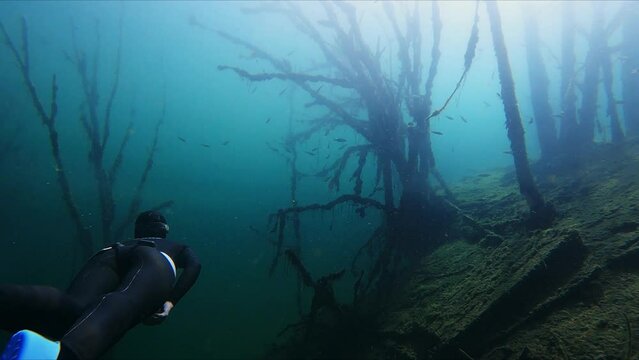 Freediver girl swimming in underwater forest in bifins. freediving apnea woman free diving in a blue water with magic and mysterious lightning