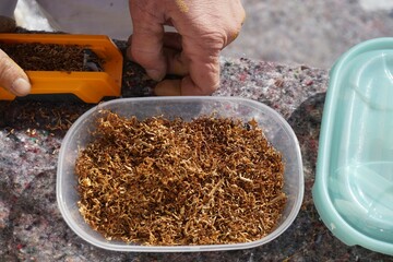 Frauenhände drehen Zigarette an Maschine hinter Plastikdose mit braunem Tabak auf Steinmauer bei...