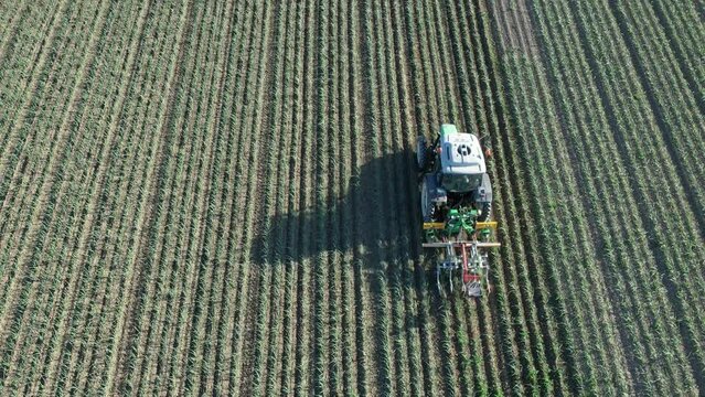 tractor working on garlic field in spring 4k video
