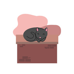 Black cat sleeping on the wall