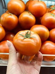 tomatoes in a hand