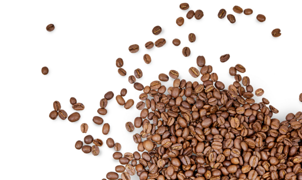 coffee beans isolated on transparent png
