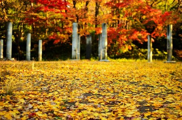 生田緑地戸隠不動尊跡の紅葉