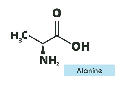 Alanine Molecule Structure. (Ala, A). Skeletal formula. Amino acid.