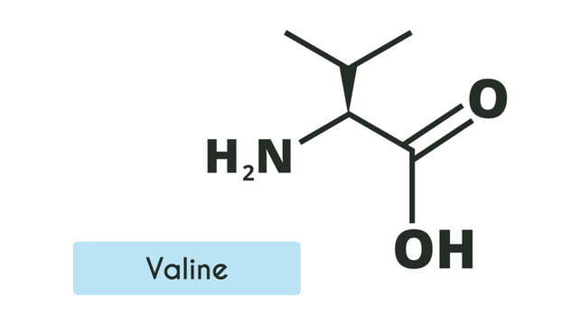 Valine Molecule Structure. (l-valine, Val, V). Skeletal formula. Amino acid.