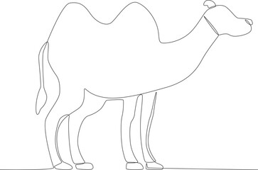 A two-humped camel for Eid al-Adha celebrations. Eid al-Adha one-line drawing