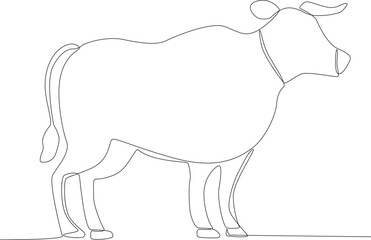 A big cow for Eid al-Adha's sacrifice. Eid al-Adha's one-line drawing