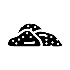 ginger dried fruit glyph icon vector illustration