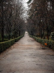 Calle del retiro