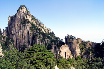 Fototapeta na wymiar Rock with pine trees in Huangshan, Yellow Mountain, Anhui, China