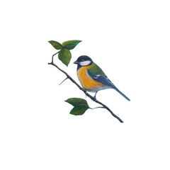 Watercolor illustration of a tit on a branch with leaves