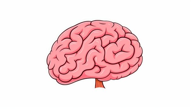 Human brain icon on a white background ai, ai generative, illustration