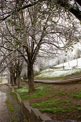 Amazing road and trees from snowy city park on cold winter day