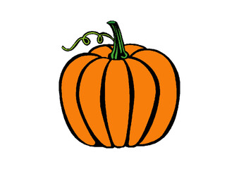 vector pumpkin halloween pumpkin design