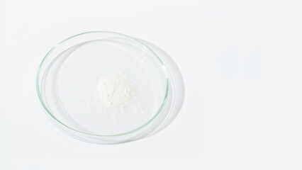 Obraz na płótnie Canvas White powder in a Petri dish. Cocaine, cannabinoid, medicinal powder, antibiotic. lab, research.