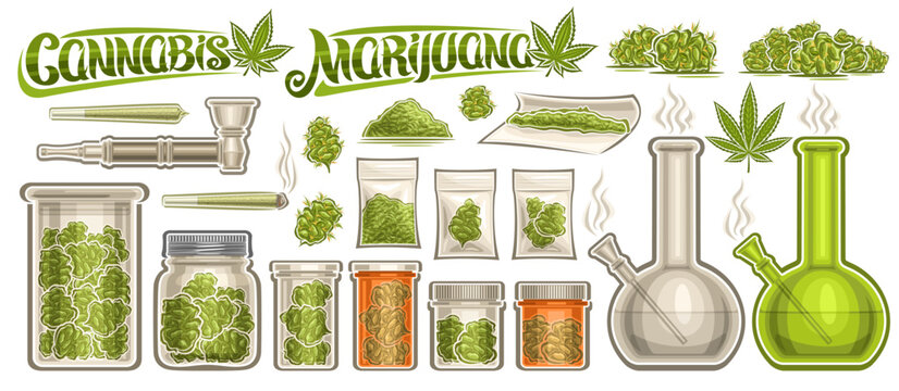 Vector Cannabis Set, lot collection of cut out illustrations glass jars with medicinal recreational cannabis, group of green weed buds in plastic bags, text cannabis and marijuana on white background
