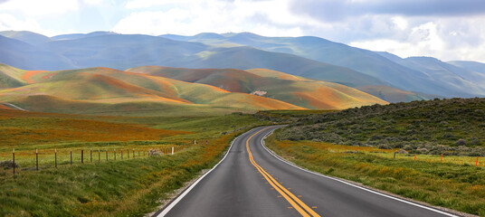 Scenic byway through Carrizo plain national monument in California , Hills are painted with...