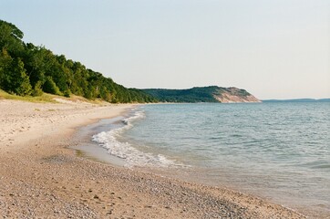 Beach near the woods