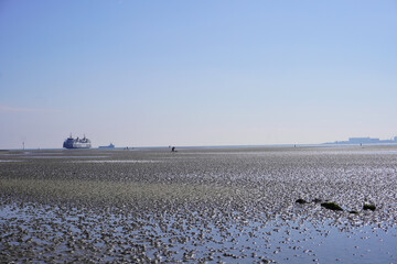 Das Wattenmeer auf der Insel Texel bei Ebbe an einem sonnigen Frühlingstag