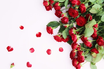 bouquet of red roses. background flowers red rose petals and roses on a light pink background background