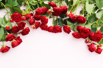 bouquet of red roses. background flowers red rose petals and roses on a light pink background background