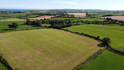 Obraz premium fields separated by shrubs. Cattle pastures in the south of Ireland. Agricultural landscape, nature. Green grass field