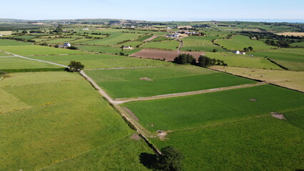 Green farm fields separated by shrubs, top view. Cattle pastures in the south of Ireland. - obrazy, fototapety, plakaty