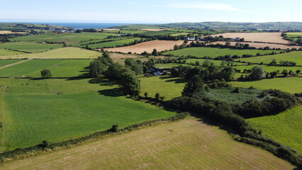 Obraz premium fields. Agricultural landscape in summer. Grass fields and trees. Green grass field with trees