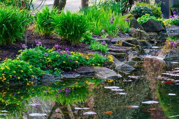 Beautiful pond in zen garden at springtime