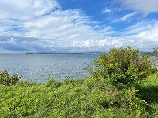 Fototapeta na wymiar The coast of Patroclus (Patrokl) Bay in Vladivostok in summer