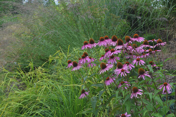 The park has flower beds with various flowering plants and shrubs. Landscaping.