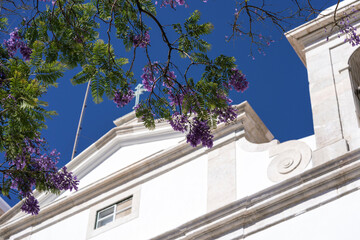 Flowering trees on background of Catholic white temple and blue sky. Beautiful tourist attraction.