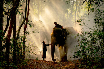 Silhouette of little girl touch elephant that has boy sit on its back in the forest with beautiful...