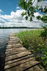 Naklejka premium Lakeside on a sunny summer day