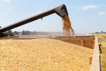 Harvesting with combines