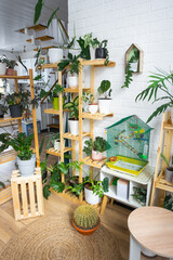 A cage with a budgie stands in a living corner of the house among shelving with a group of indoor...