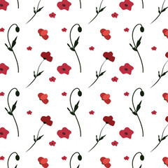 Floral composition, seamless pattern with red poppy flowers on  white background and png for banners wallpaper posters